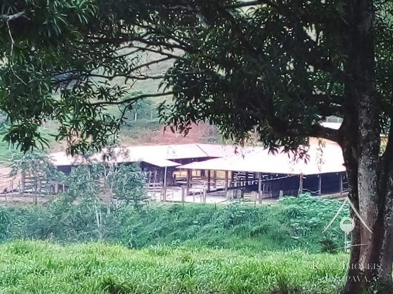 Fazenda / Sítio à venda em Itaipava, Petrópolis - RJ - Foto 14