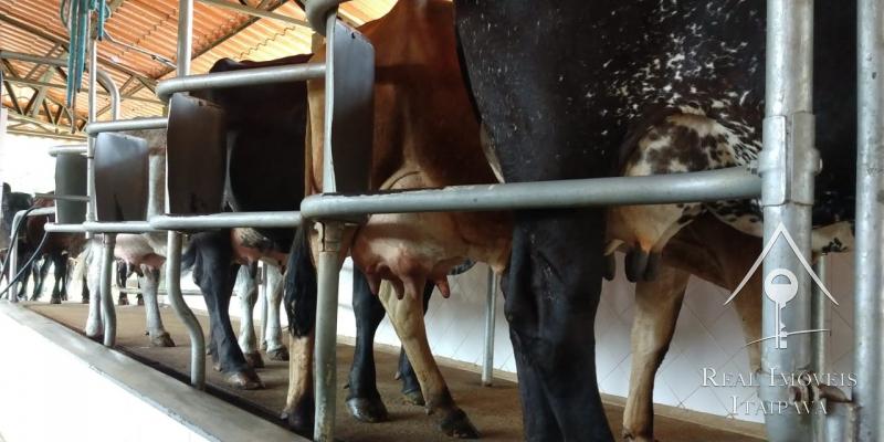 Fazenda / Sítio à venda em Itaipava, Petrópolis - RJ - Foto 19