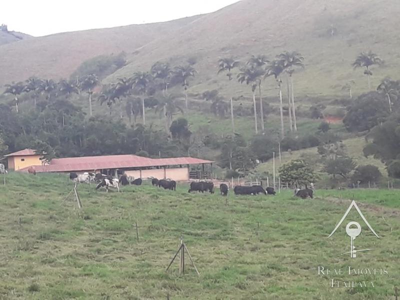 Fazenda / Sítio à venda em Itaipava, Petrópolis - RJ - Foto 20
