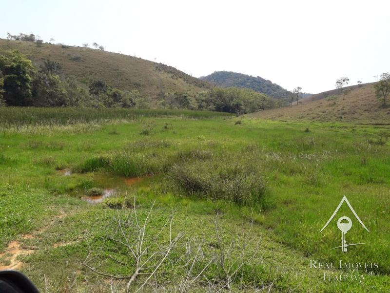 Fazenda / Sítio à venda em Centro, Paraíba do Sul - RJ - Foto 2