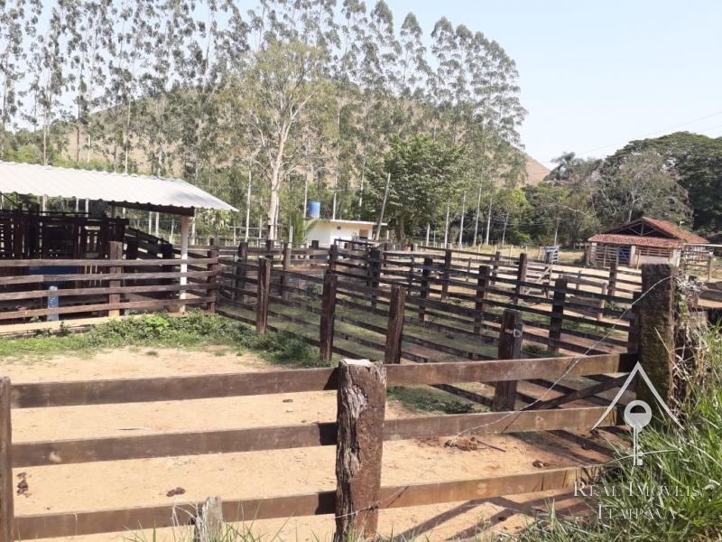 Fazenda / Sítio à venda em Centro, Paraíba do Sul - RJ - Foto 5