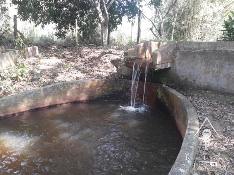 Fazenda / Sítio à venda em Centro, Paraíba do Sul - RJ - Foto 7