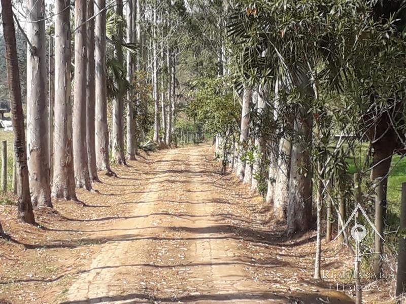 Fazenda / Sítio à venda em Centro, Paraíba do Sul - RJ - Foto 8