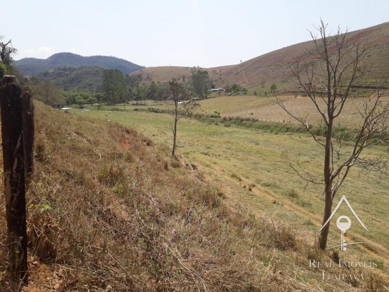 Fazenda / Sítio à venda em Centro, Paraíba do Sul - RJ - Foto 9