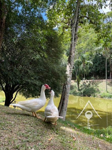 Casa à venda em Pedro do Rio, Petrópolis - RJ - Foto 8