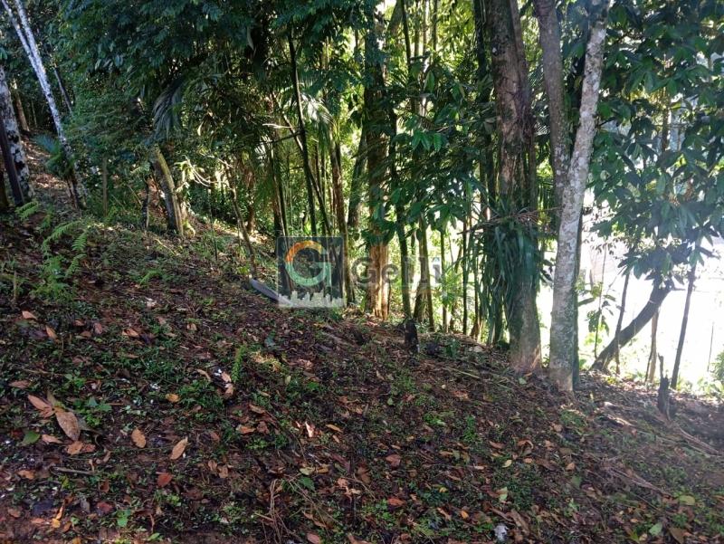 Terreno Residencial à venda em Bingen, Petrópolis - RJ - Foto 4