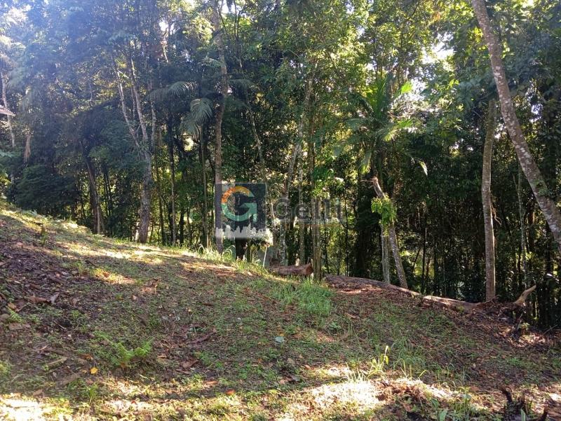 Terreno Residencial à venda em Bingen, Petrópolis - RJ - Foto 7