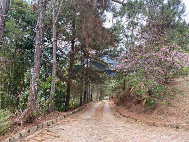 Terreno Residencial à venda em Cuiabá, Petrópolis - RJ - Foto 7