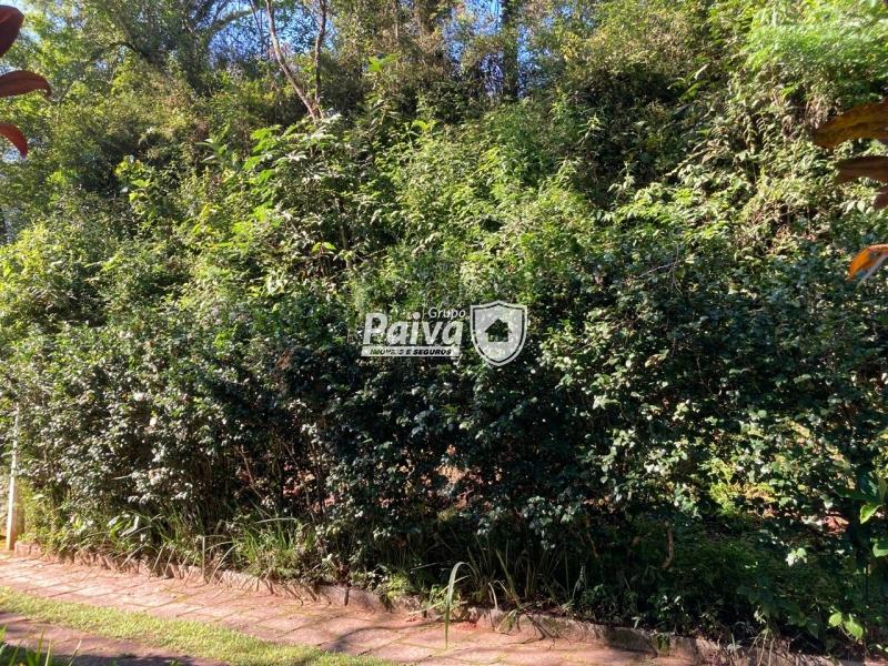 Fazenda / Sítio à venda em Pessegueiros, Teresópolis - RJ - Foto 31