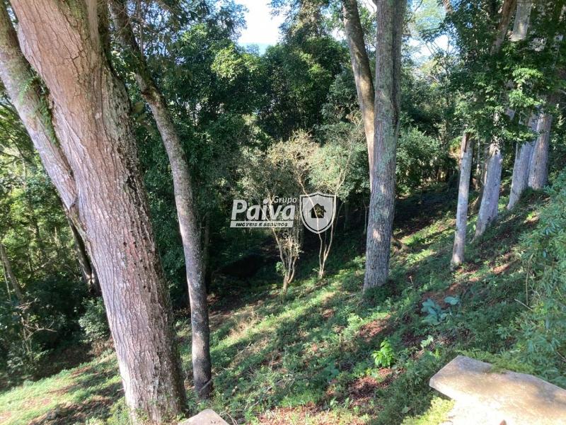 Fazenda / Sítio à venda em Pessegueiros, Teresópolis - RJ - Foto 16