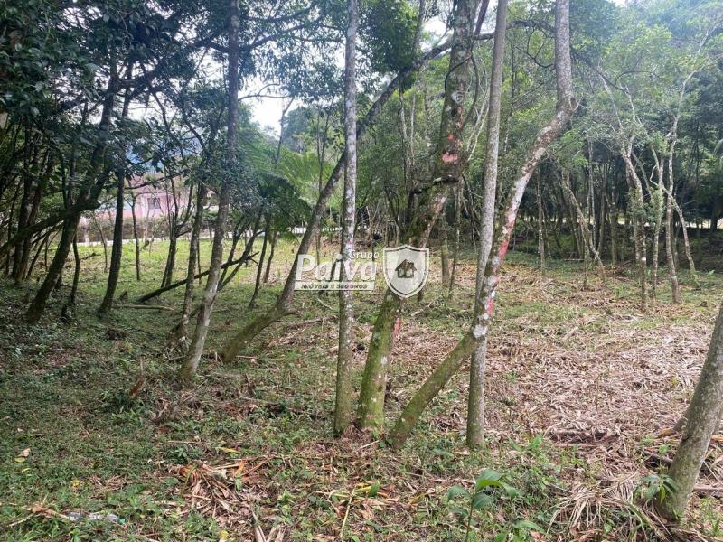 Terreno Residencial à venda em Comary, Teresópolis - RJ - Foto 3