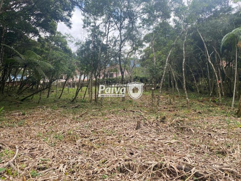 Terreno Residencial à venda em Comary, Teresópolis - RJ - Foto 4