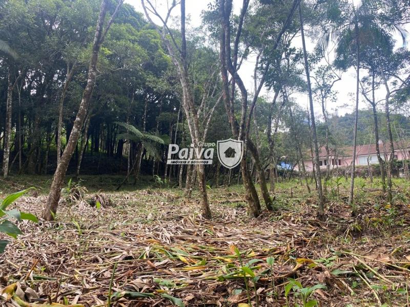 Terreno Residencial à venda em Comary, Teresópolis - RJ - Foto 1