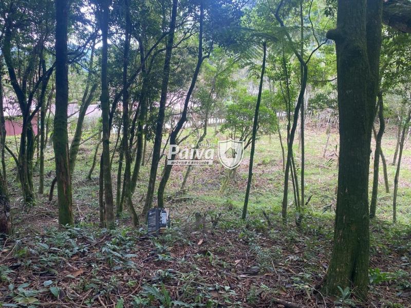 Terreno Residencial à venda em Comary, Teresópolis - RJ - Foto 7