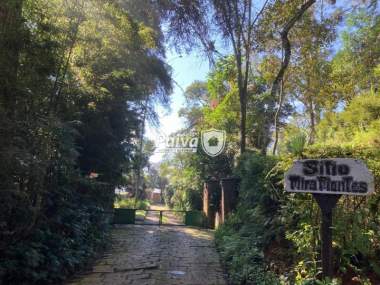 Fazenda / Sítio em Pessegueir...