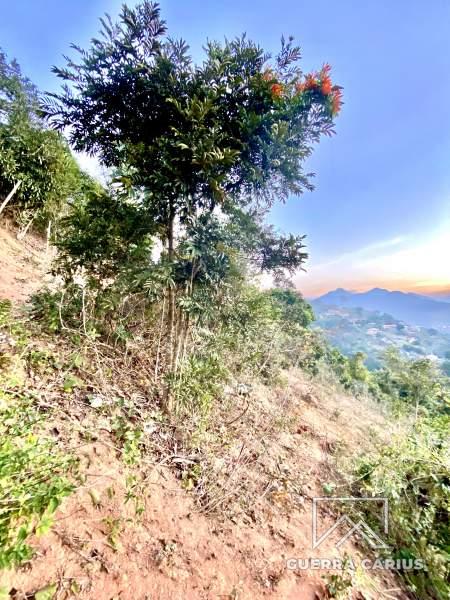 Terreno Residencial à venda em Nogueira, Petrópolis - RJ - Foto 5
