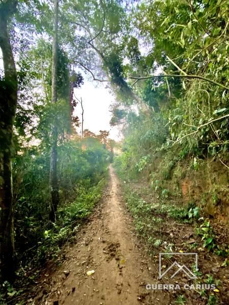 Terreno Residencial à venda em Nogueira, Petrópolis - RJ - Foto 10