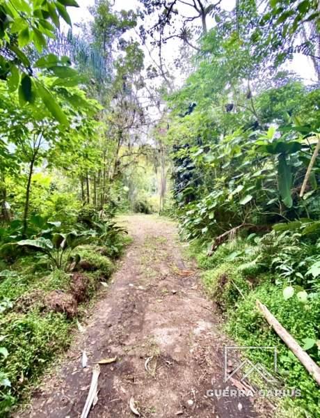 Terreno Residencial à venda em Centro, Petrópolis - RJ - Foto 20