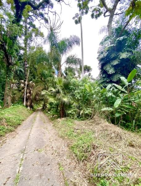 Terreno Residencial à venda em Centro, Petrópolis - RJ - Foto 14
