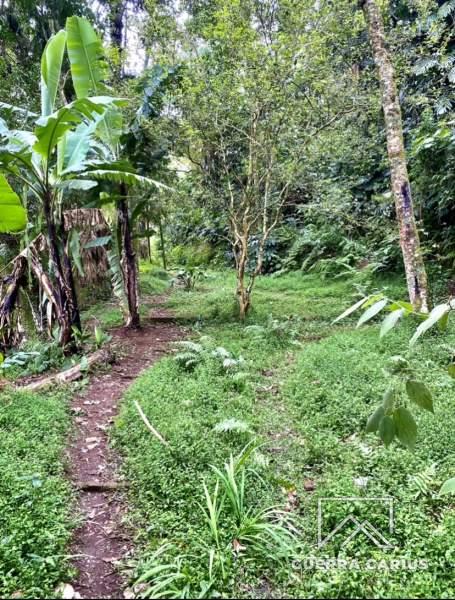 Terreno Residencial à venda em Centro, Petrópolis - RJ - Foto 10