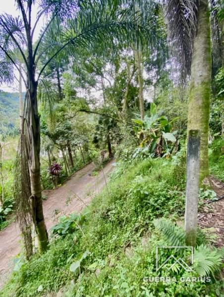 Terreno Residencial à venda em Centro, Petrópolis - RJ - Foto 9