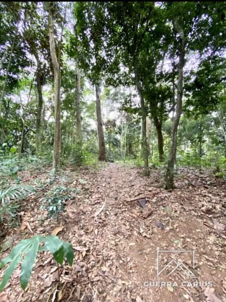 Terreno Residencial à venda em Centro, Petrópolis - RJ - Foto 8