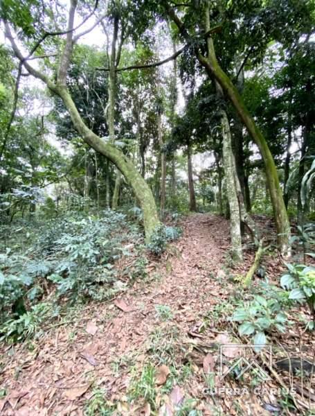 Terreno Residencial à venda em Centro, Petrópolis - RJ - Foto 7