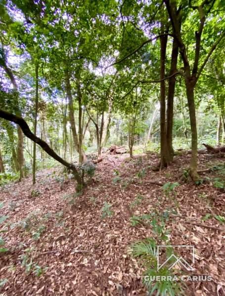 Terreno Residencial à venda em Centro, Petrópolis - RJ - Foto 6