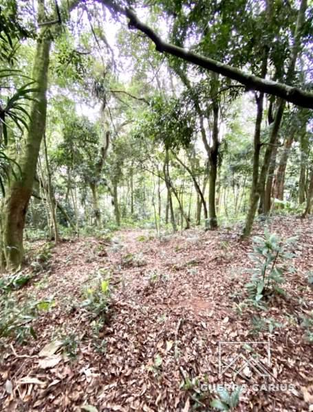 Terreno Residencial à venda em Centro, Petrópolis - RJ - Foto 5