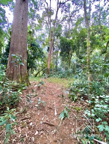 Terreno Residencial à venda em Centro, Petrópolis - RJ - Foto 4