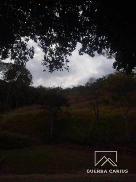 Terreno Residencial à venda em Pedro do Rio, Petrópolis - RJ - Foto 3