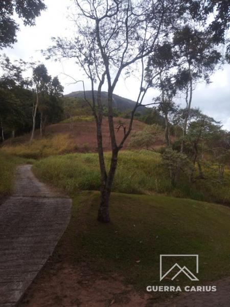Terreno Residencial à venda em Pedro do Rio, Petrópolis - RJ - Foto 6