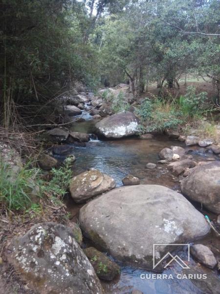 Terreno Residencial à venda em Pedro do Rio, Petrópolis - RJ - Foto 2