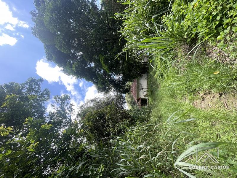 Terreno Residencial à venda em Centro, Areal - RJ - Foto 13