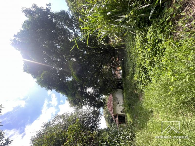 Terreno Residencial à venda em Centro, Areal - RJ - Foto 21