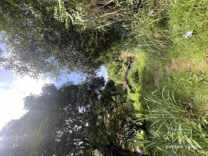 Terreno Residencial à venda em Centro, Areal - RJ - Foto 20