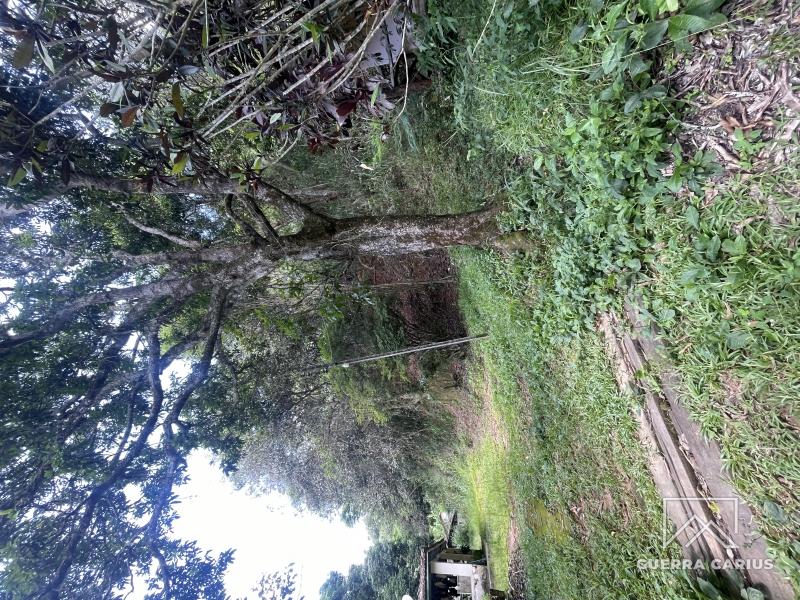 Terreno Residencial à venda em Centro, Areal - RJ - Foto 16