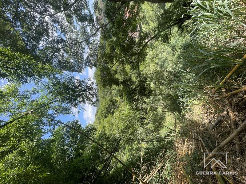 Terreno Residencial à venda em Centro, Areal - RJ - Foto 12