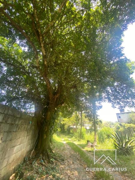 Casa à venda em Xerém, Rio de Janeiro - RJ - Foto 48