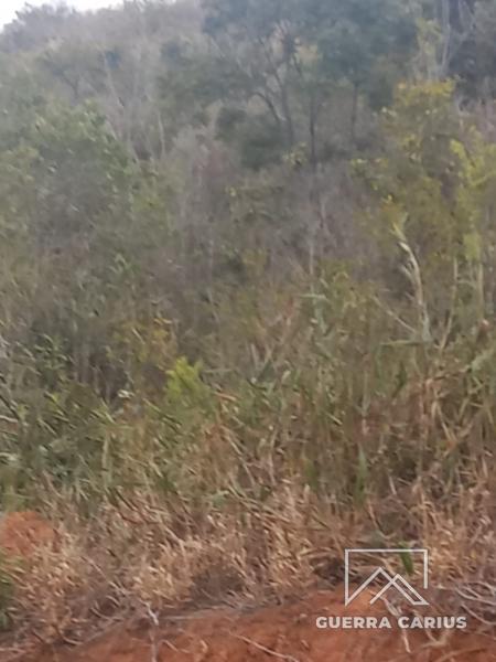 Terreno Residencial à venda em Nogueira, Petrópolis - RJ - Foto 9