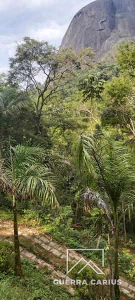 Casa à venda em Pedro do Rio, Petrópolis - RJ - Foto 7