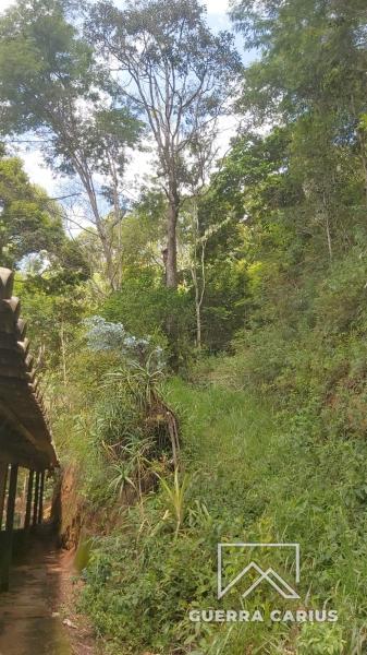 Casa à venda em Pedro do Rio, Petrópolis - RJ - Foto 5