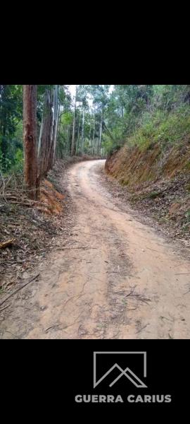Casa à venda em Pedro do Rio, Petrópolis - RJ - Foto 4