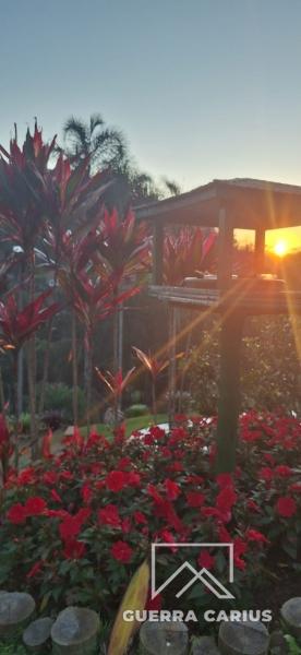 Casa para Alugar  à venda em Pedro do Rio, Petrópolis - RJ - Foto 28