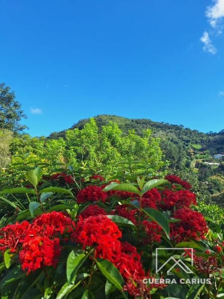 Casa para Alugar  à venda em Pedro do Rio, Petrópolis - RJ - Foto 14