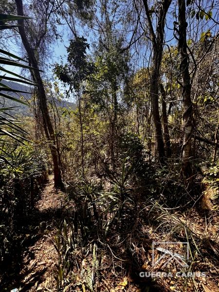 Terreno Residencial à venda em Nogueira, Petrópolis - RJ - Foto 2