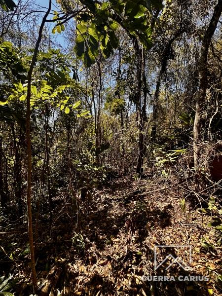 Terreno Residencial à venda em Nogueira, Petrópolis - RJ - Foto 3