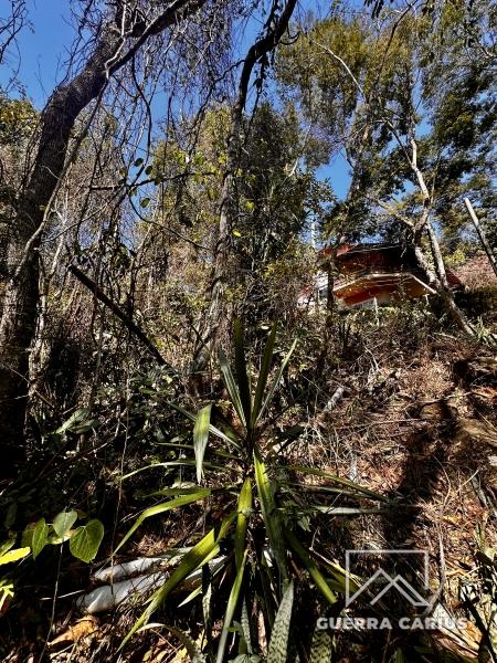 Terreno Residencial à venda em Nogueira, Petrópolis - RJ - Foto 4