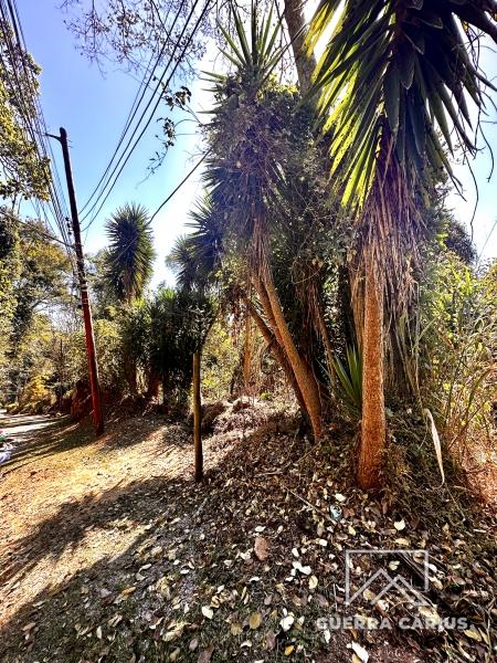 Terreno Residencial à venda em Nogueira, Petrópolis - RJ - Foto 5