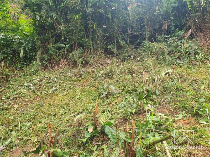 Terreno Residencial à venda em Nogueira, Petrópolis - RJ - Foto 2